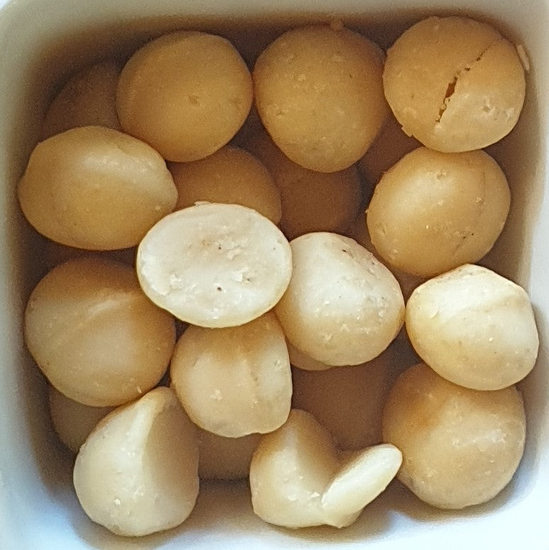 Macadamia